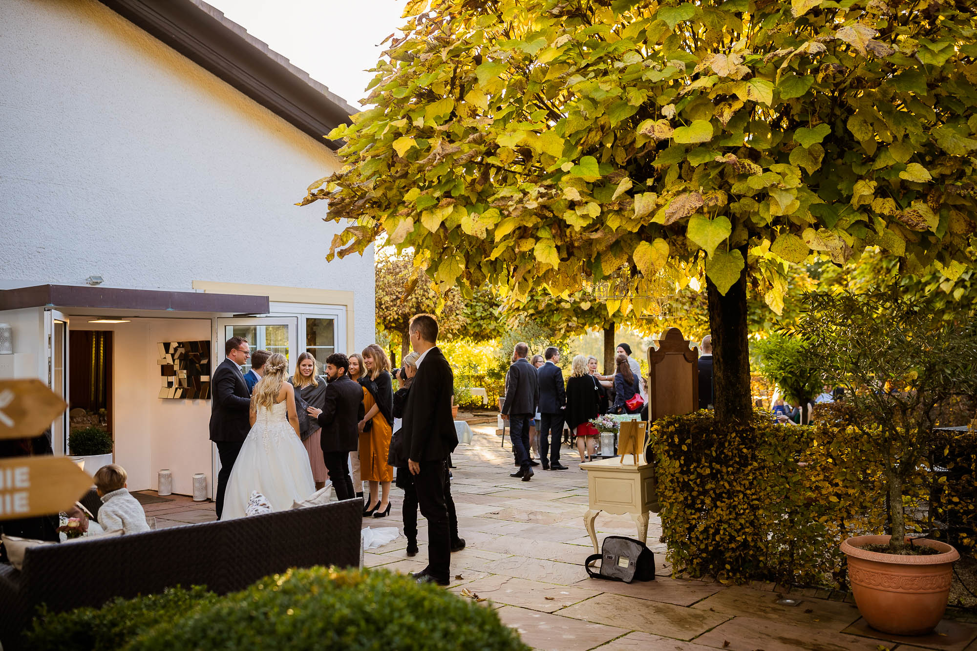 Export x3 1DX27658 Hochzeit 2019 Tatjana und Hermann